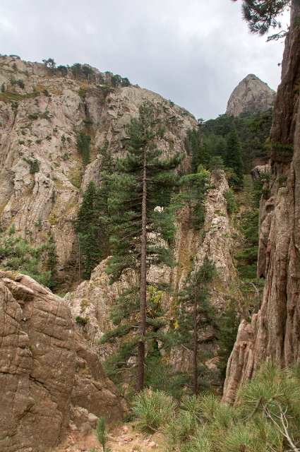 0165 Col de Bavella.jpg - SONY DSC